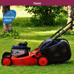 Petit travaux de jardinage